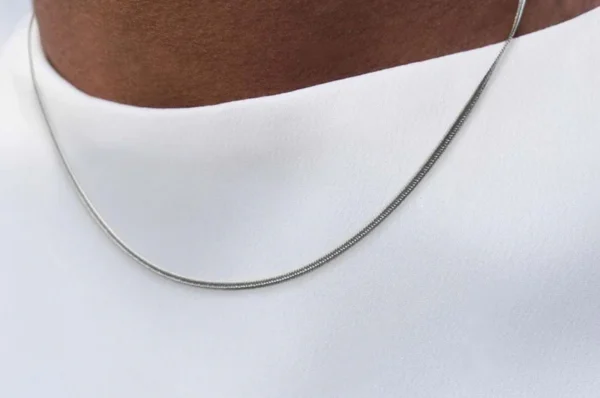 Silver Snake Chain